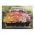  Chronicle Books Floret Farm ’ S Cut Flower Garden 2- Sided 500 Piece Jigsaw Puzzle - Demo